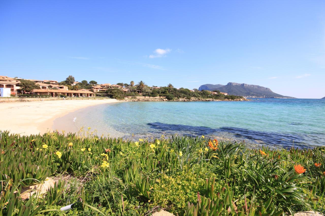 Apartment In S'Abba E Sa Pedra With Pool Golfo Aranci Eksteriør bilde