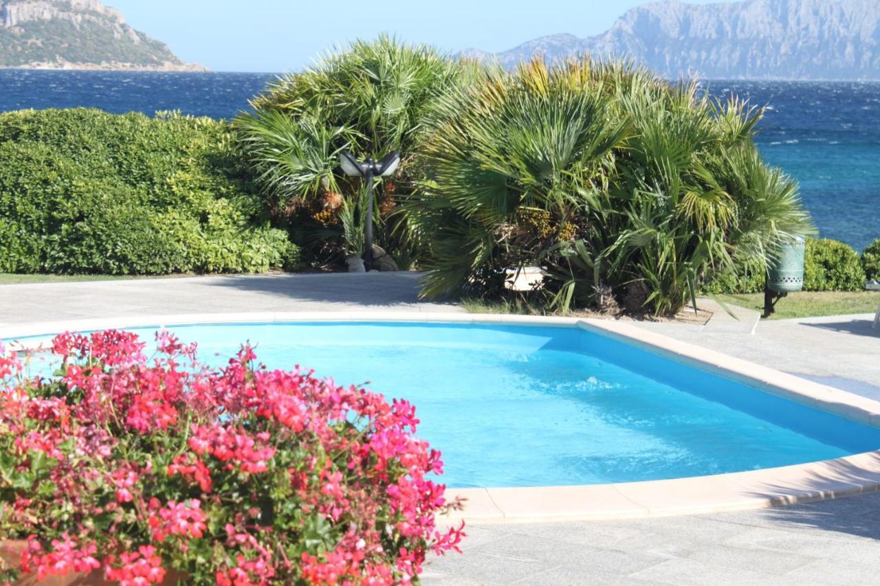 Apartment In S'Abba E Sa Pedra With Pool Golfo Aranci Eksteriør bilde